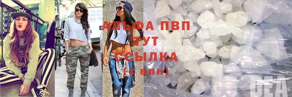 скорость Пестово