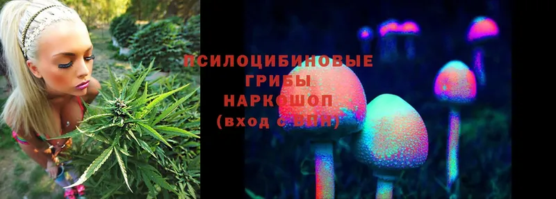 Галлюциногенные грибы Psilocybine cubensis Руза